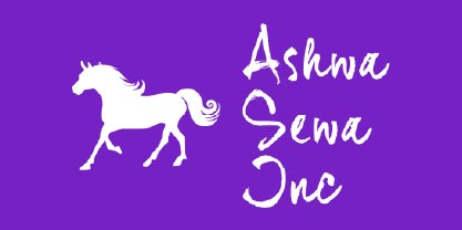 Colorado Business Solutions